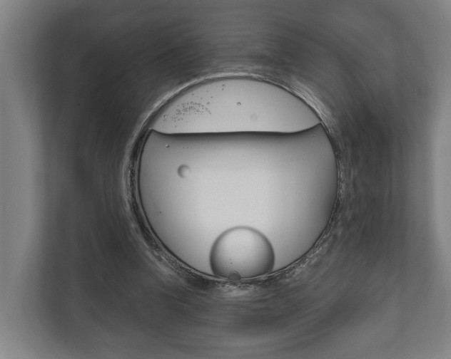X0000111840346200907231044