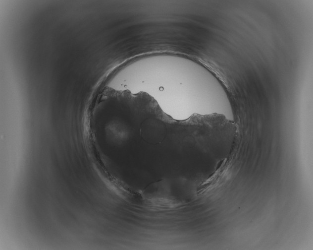 X0000111840347200907231044