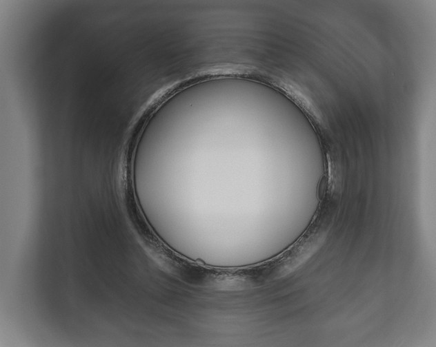 X0000111840348200907231044