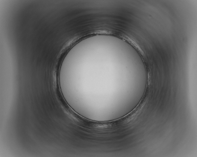 X0000111840349200907231044