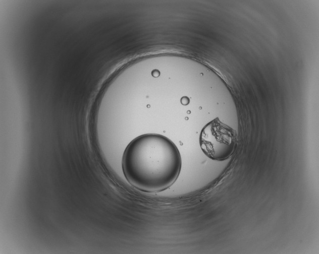 X0000111840350200907231044
