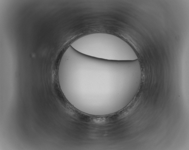 X0000111840355200907231044