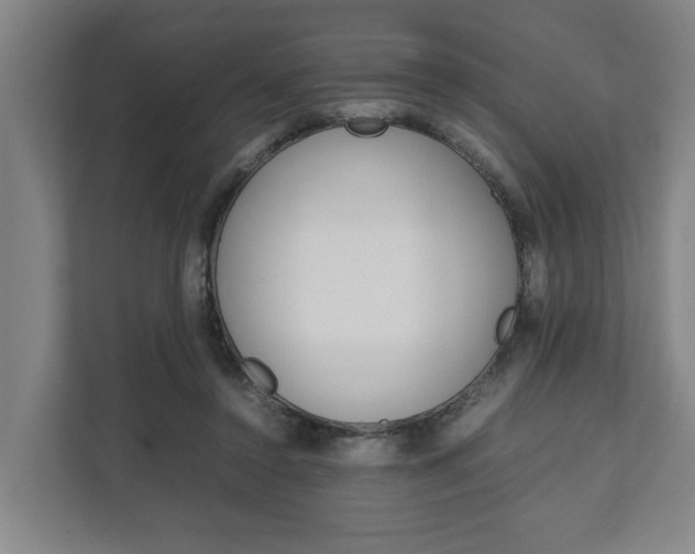 X0000111840356200907231044