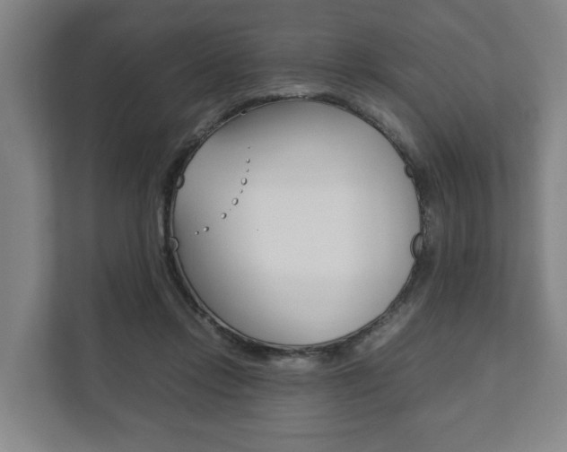 X0000111840358200907231044