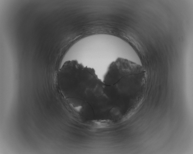 X0000111840359200907231044