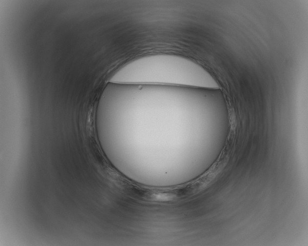 X0000111840360200907231044