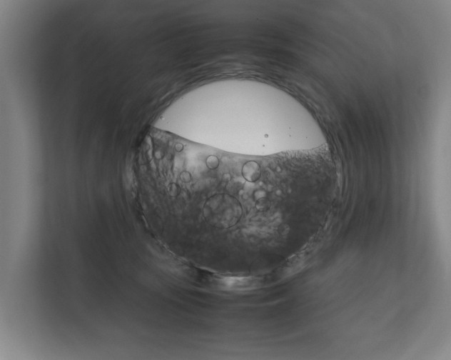 X0000111840371200907231044