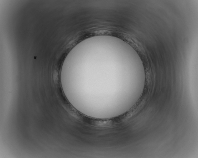X0000111840375200907231044