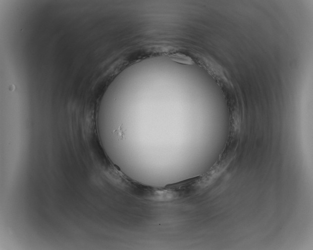 X0000111840376200907231044