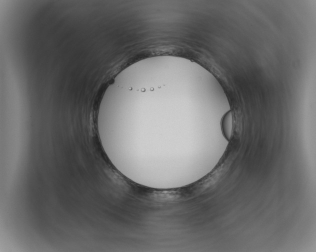 X0000111840378200907231044