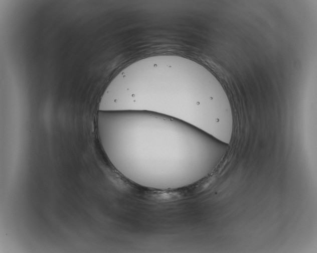 X0000111840379200907231044