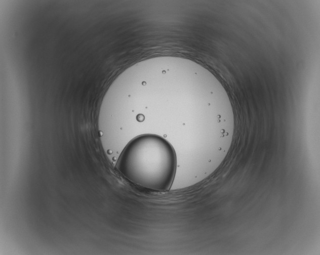 X0000111840380200907231044