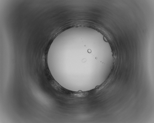 X0000111840381200907231044