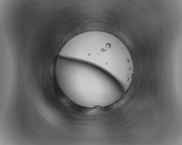 X0000111840382200907231044