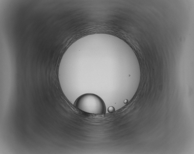 X0000111840384200907231044