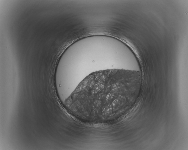 X0000111840385200907231044