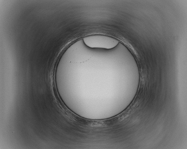 X0000111840386200907231043