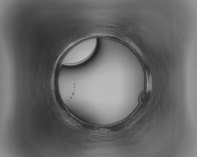 X0000111840387200907231043