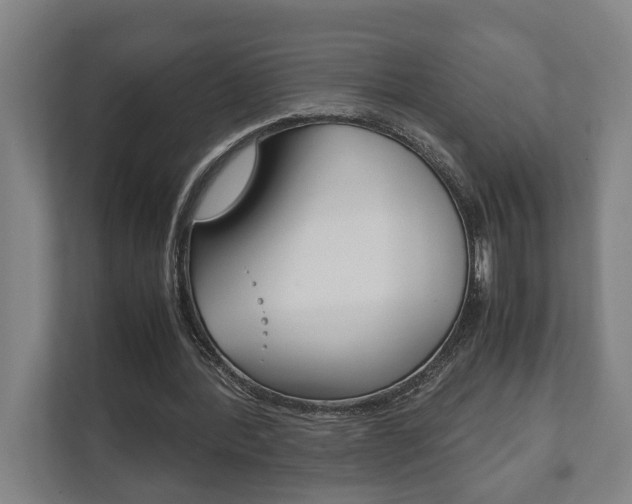X0000111840388200907231043