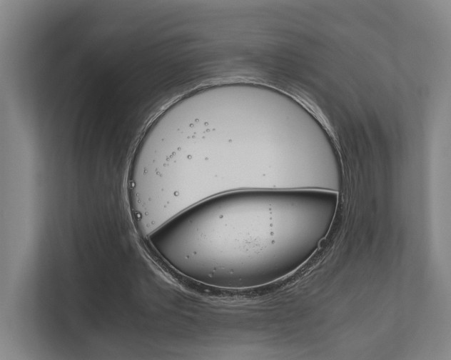 X0000111840389200907231043