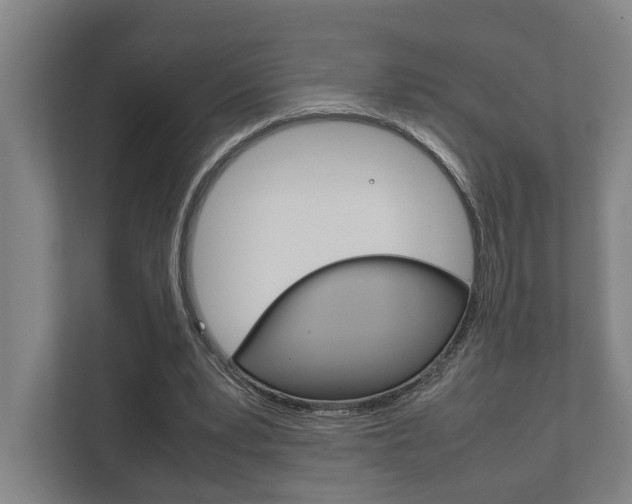 X0000111840391200907231043