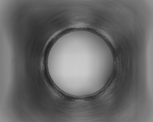 X0000111840392200907231043
