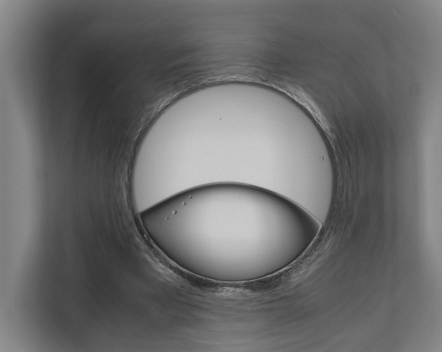 X0000111840393200907231043