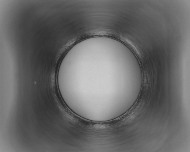 X0000111840394200907231043