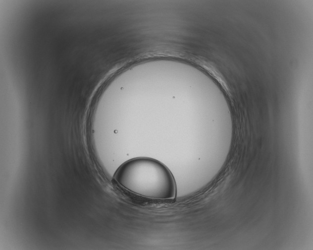 X0000111840395200907231043
