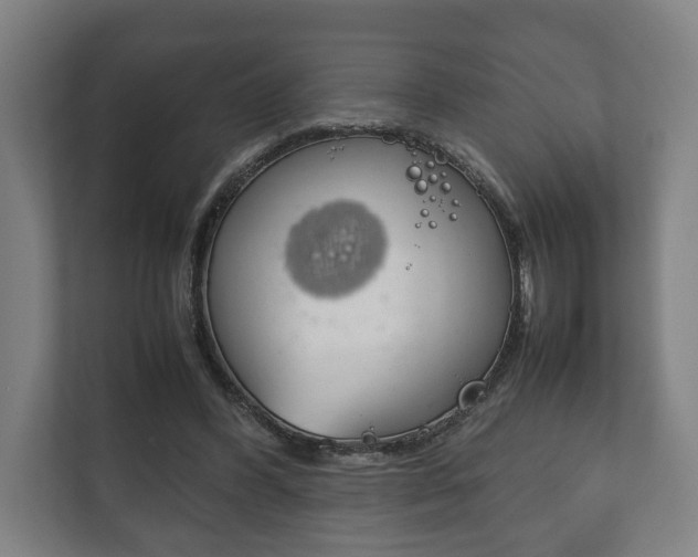 X0000111840396200907231043