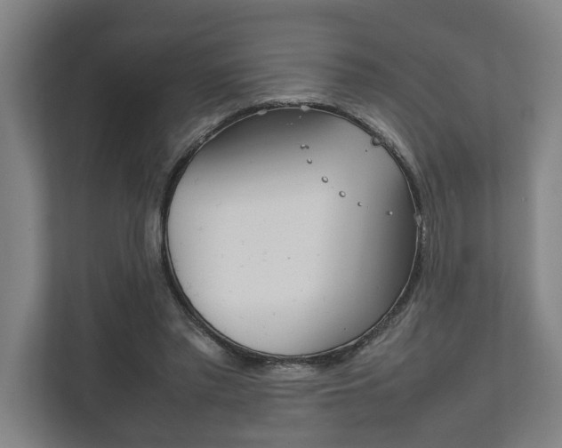 X0000111840397200907231043