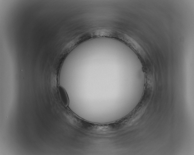 X0000111840401200907231043