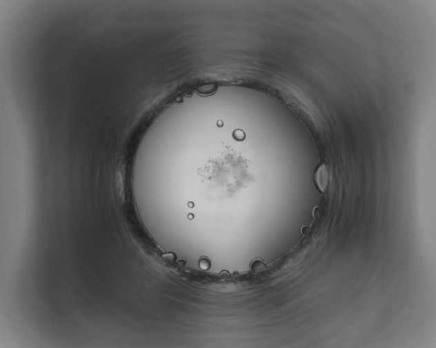 X0000111840404200907231043