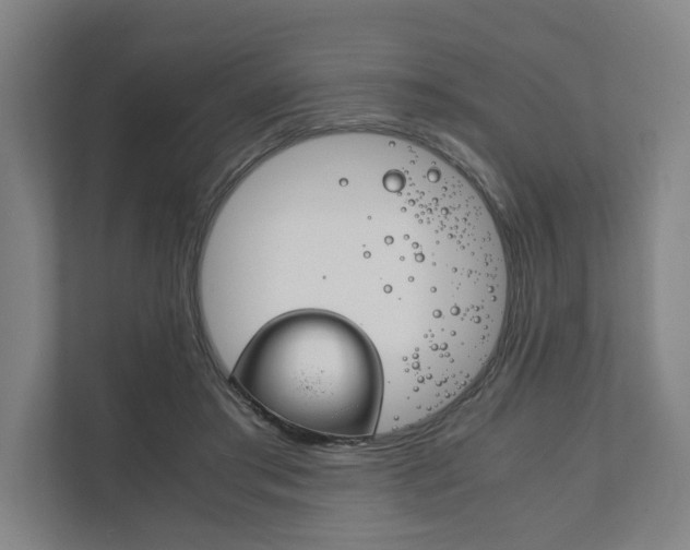 X0000111840405200907231043