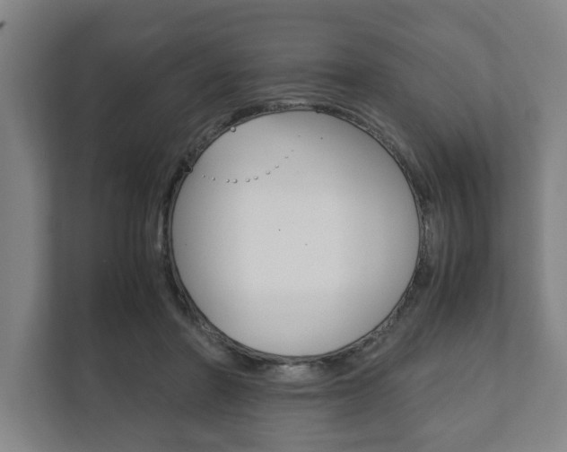 X0000111840406200907231043