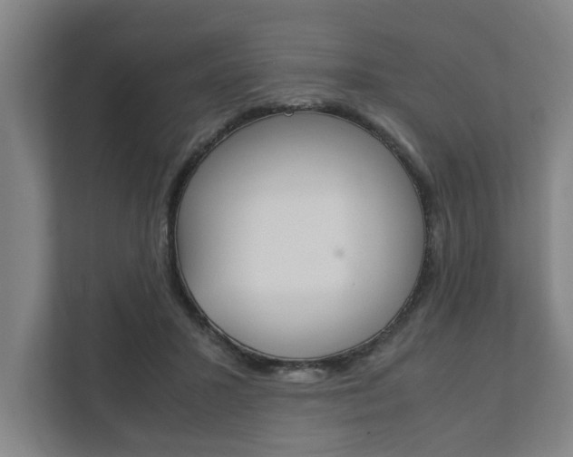 X0000111840407200907231043