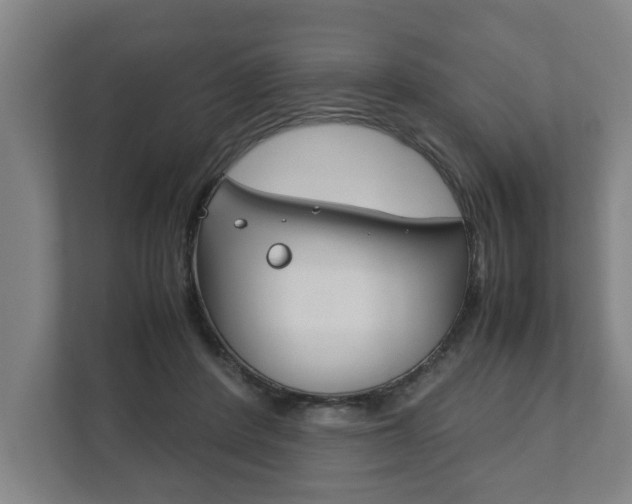 X0000111840408200907231043