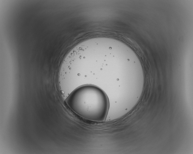 X0000111840409200907231043