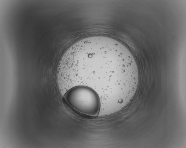X0000111840411200907231043