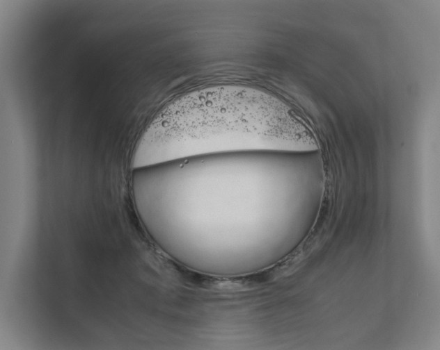 X0000111840413200907231043