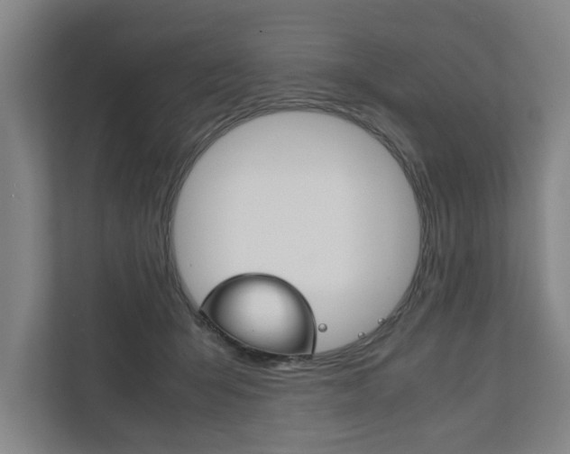 X0000111840415200907231043