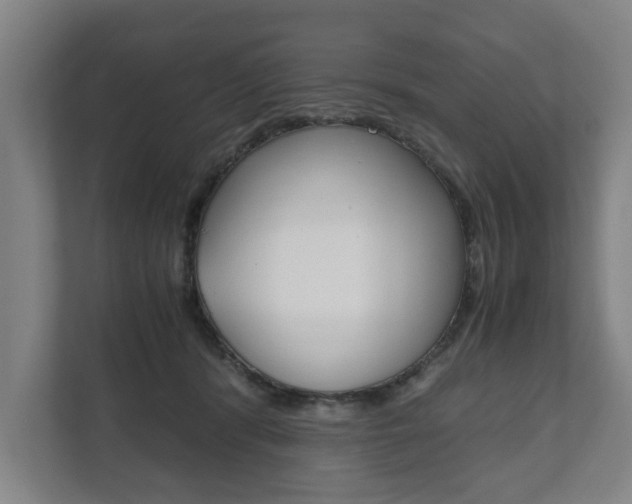 X0000111840416200907231043