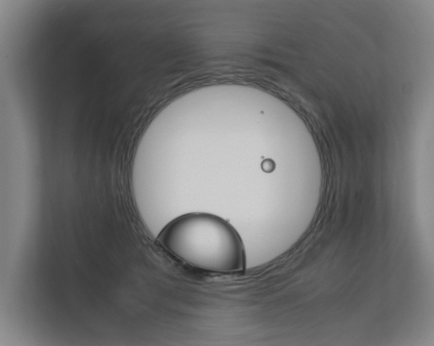 X0000111840417200907231043