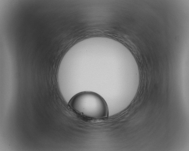 X0000111840419200907231043