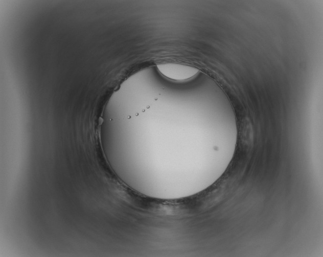 X0000111840420200907231043