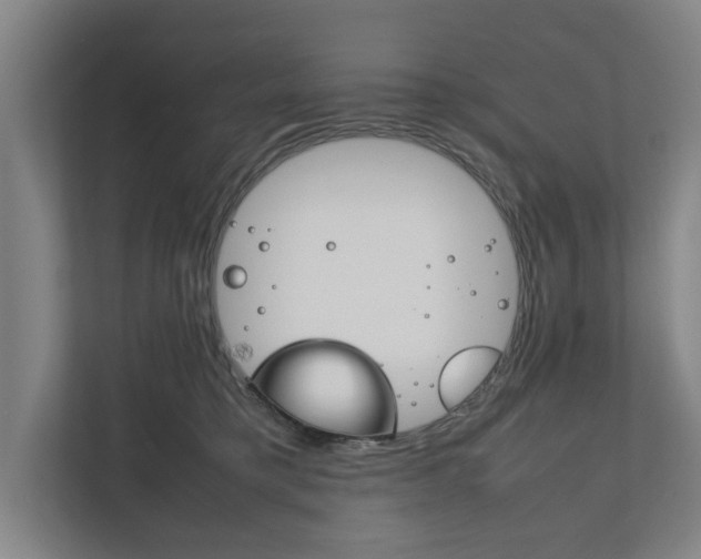 X0000111840421200907231043