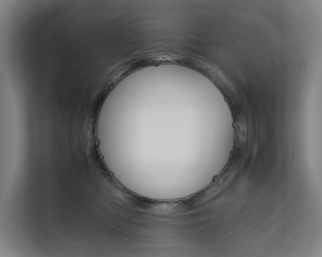 X0000111840422200907231043