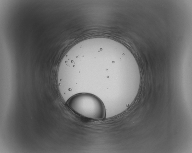 X0000111840423200907231043