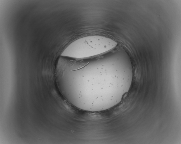 X0000111840424200907231043