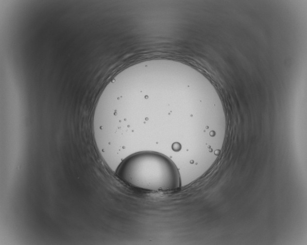X0000111840425200907231043